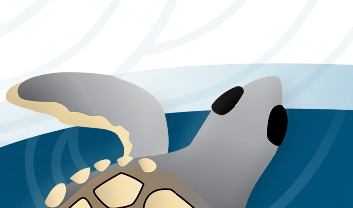 Turtle Bay Land Company