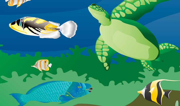 Hanauma Bay Dive Tours