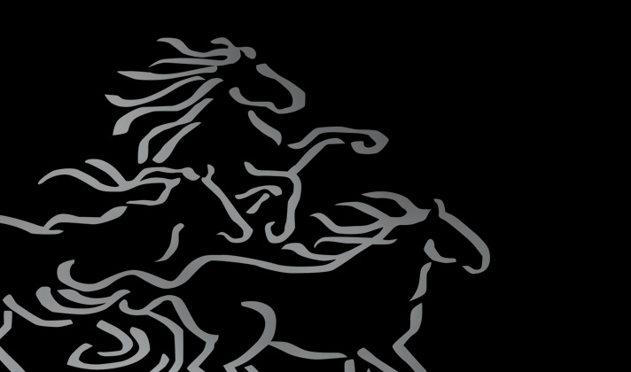 Mustang Scholars Foundation